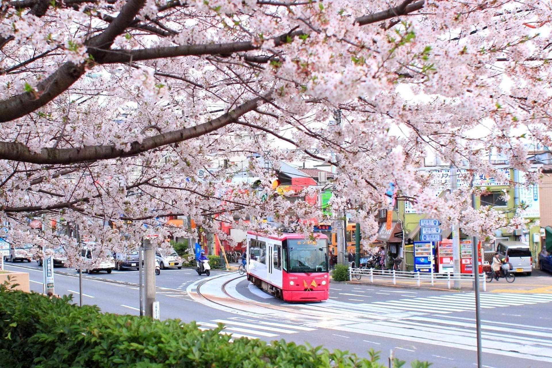 Bisk Park Higashijujo - Vacation 83637v Ferienhaus Präfektur Tokio